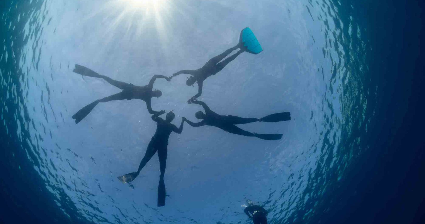 Afternoon freediving session